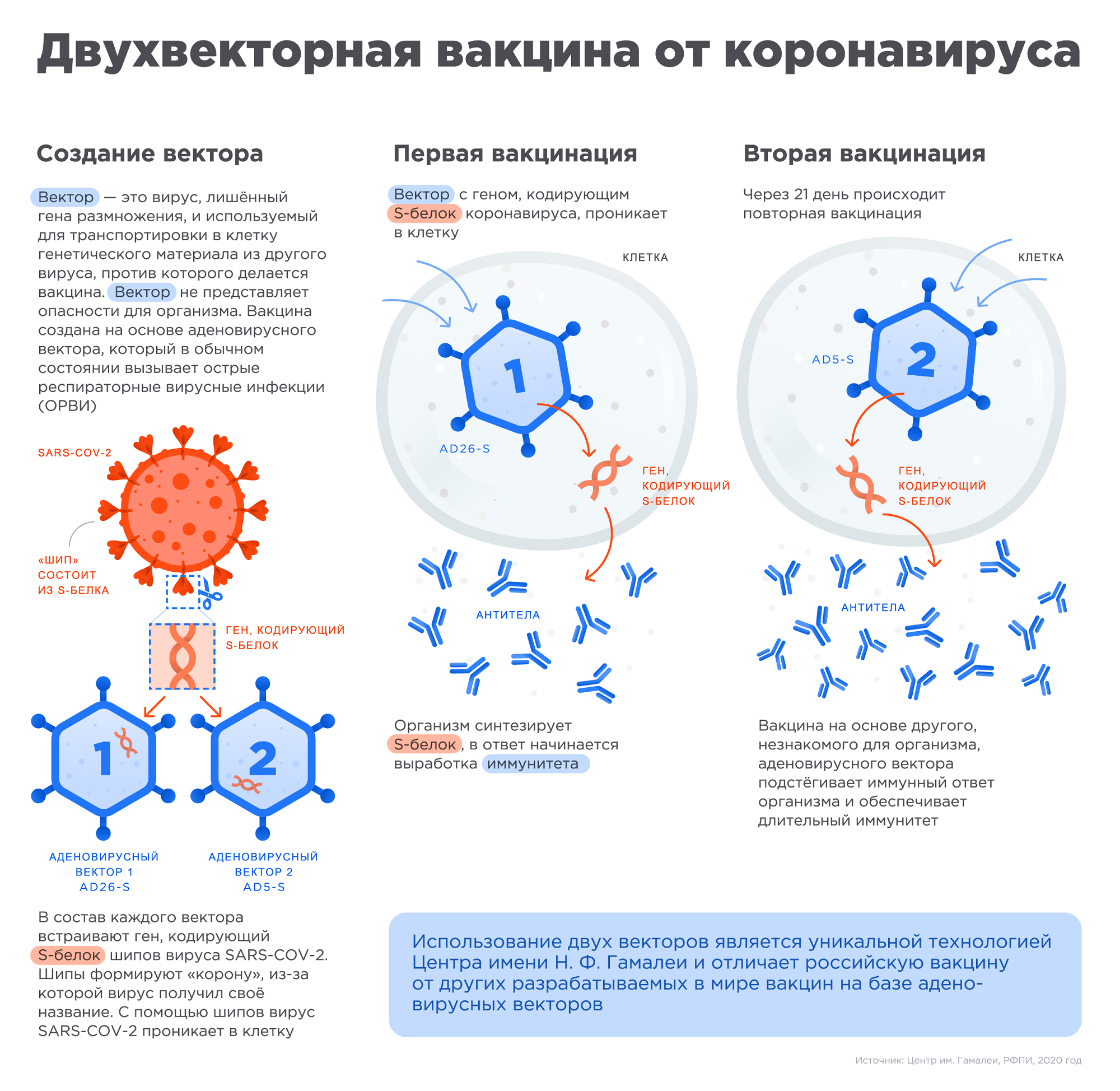 На официальном сайте вакцины объясняется, как работает «Спутник V»