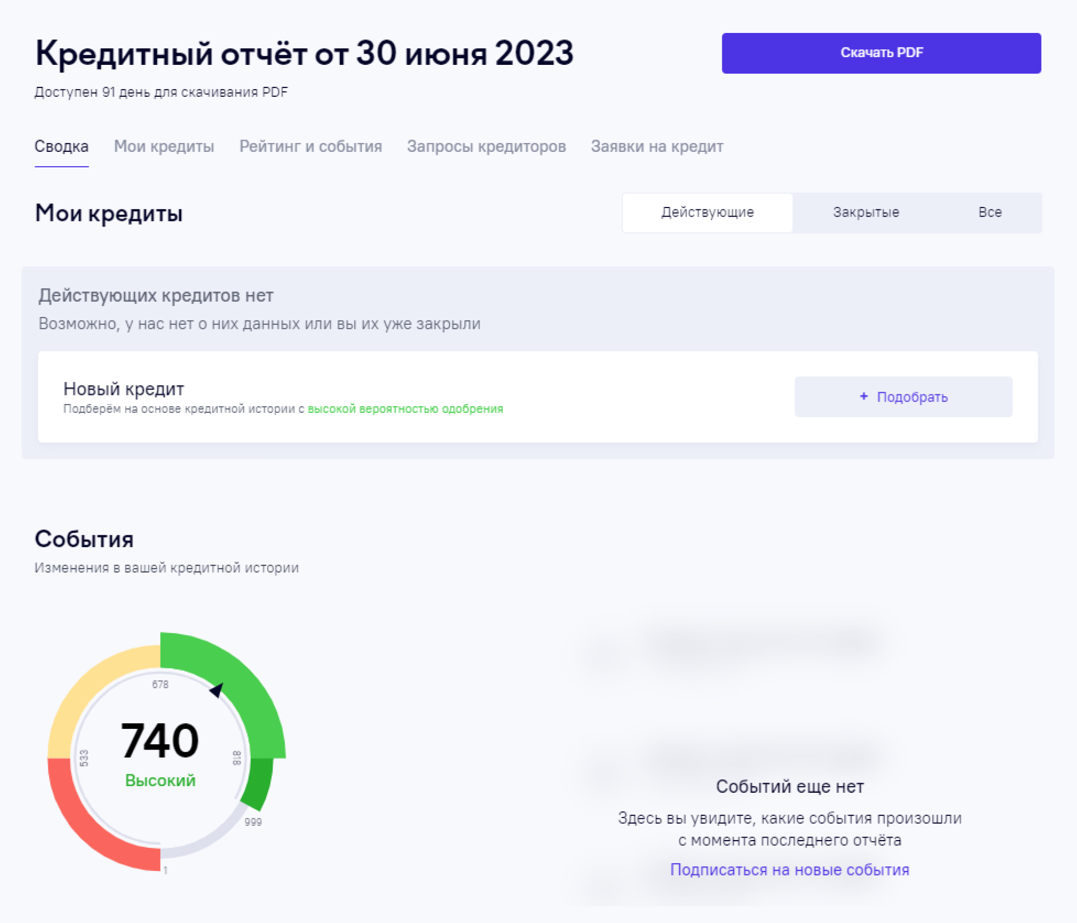 В отчете можно посмотреть свои кредиты, запросы кредиторов, заявки и рейтинг. PDF-файл доступен для скачивания в течение 91 дня