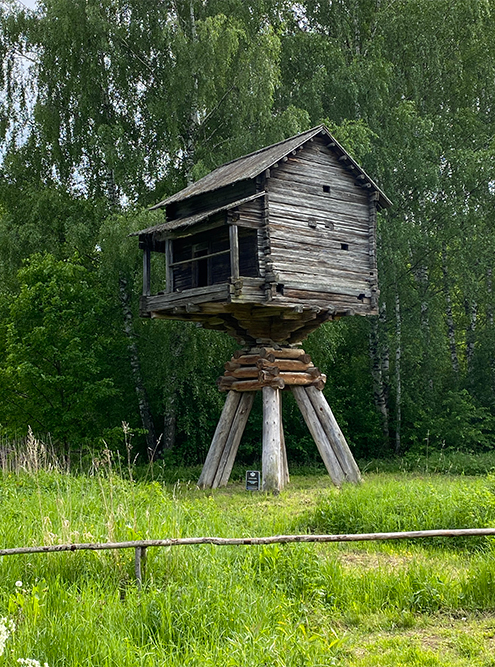 Та самая избушка на курьих ножках