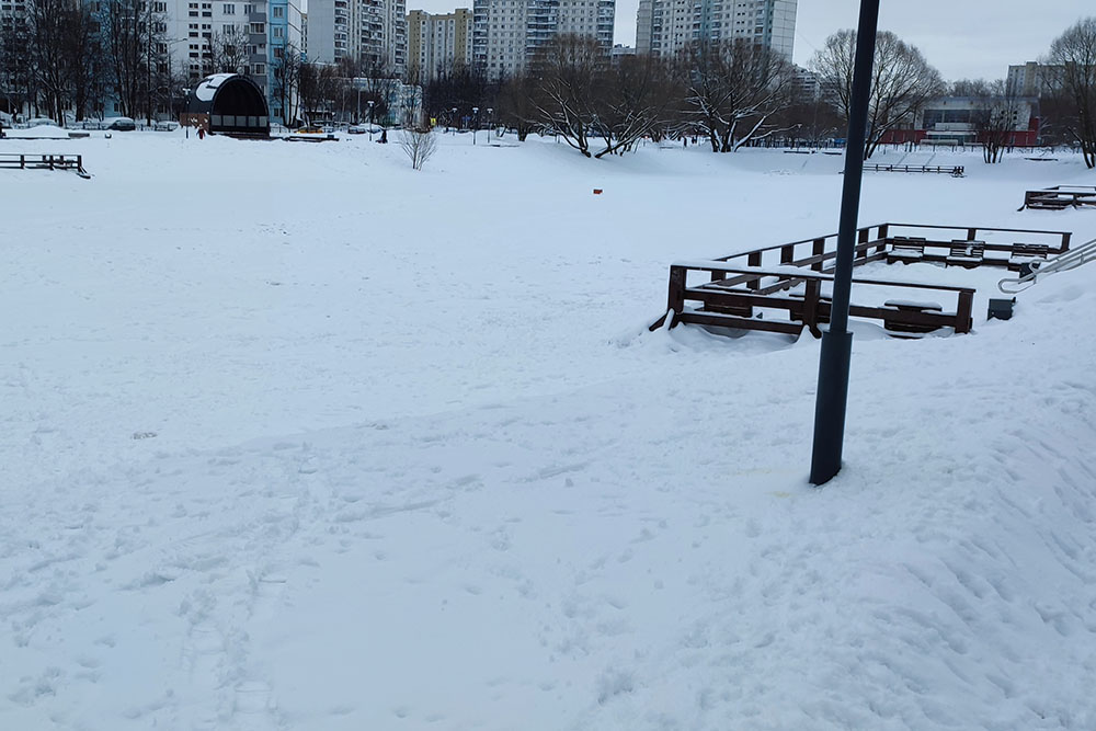 Замерзший пруд, где мы любим гулять с детьми. Летом здесь много уточек