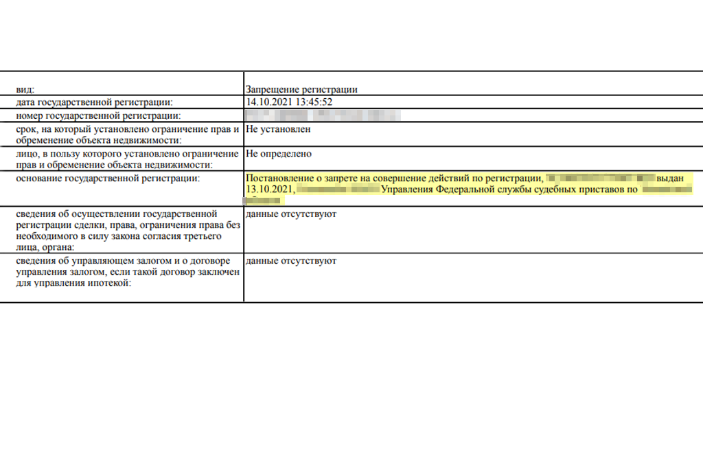 Так в выписке выглядит информации о наложенном на участок ограничении: купить такую землю не получится, пока хозяин не разберется с долгами