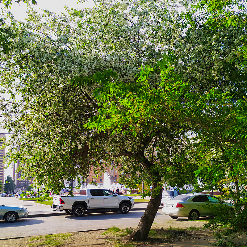 Городской пейзаж