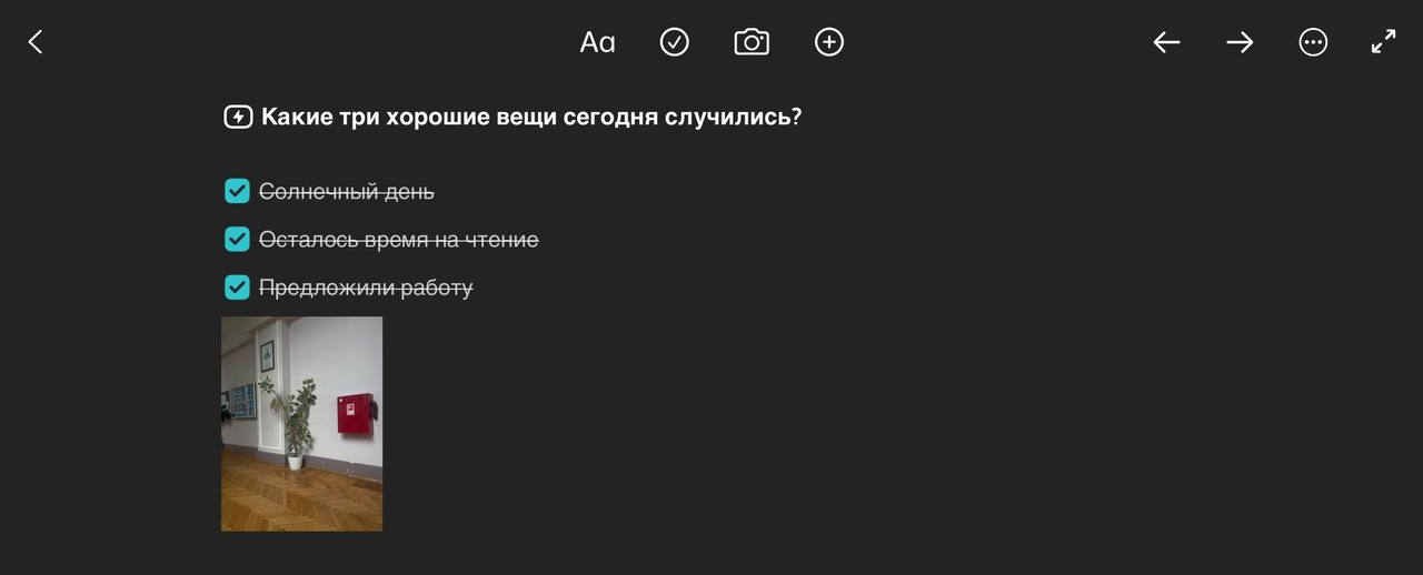 Главная фишка дневника — вопросы для размышлений, создание чистых страниц не предусмотрено