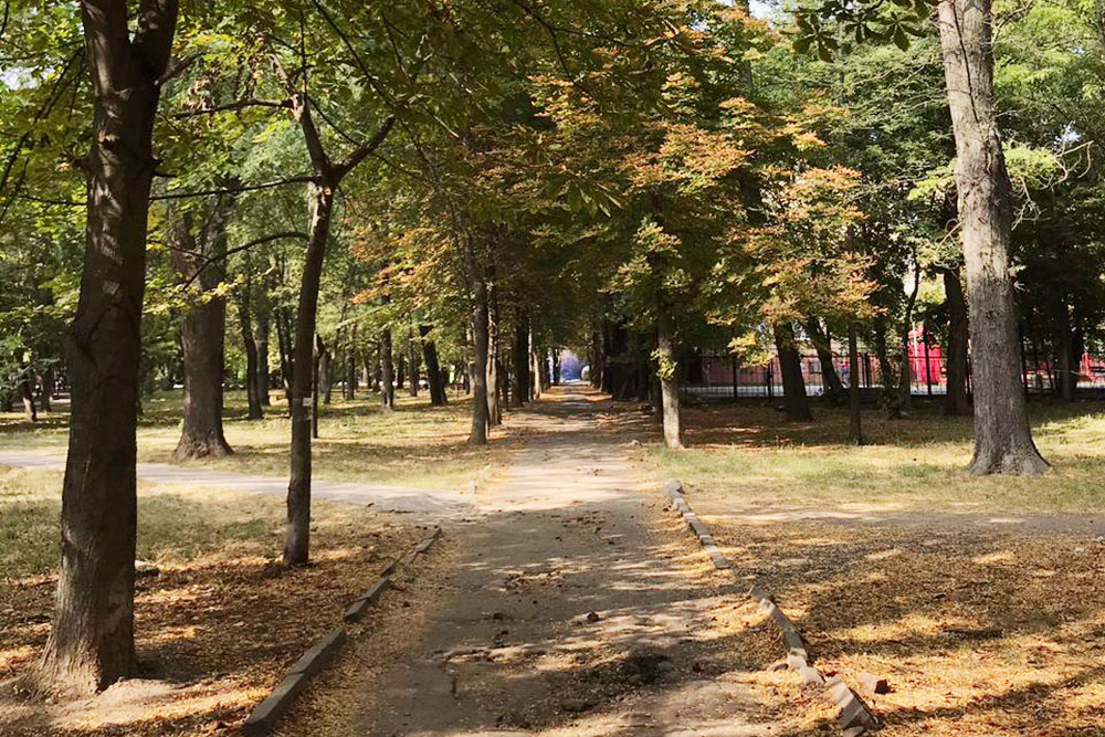 Пока погода позволяет, стараюсь есть на свежем воздухе