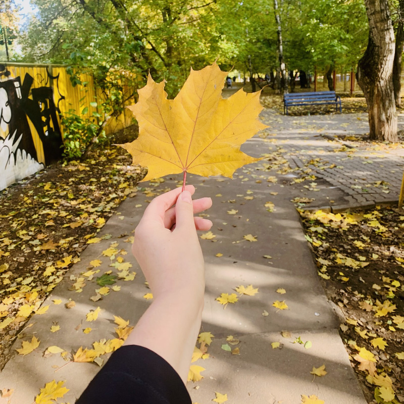 Путь к метро лежит через маленький симпатичный парк. В августе, когда я писала дневник, я не сделала фото. Так что покажу парк осенью