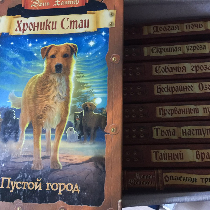 У нас уже вся коллекция книг из серии «Хроники стаи»