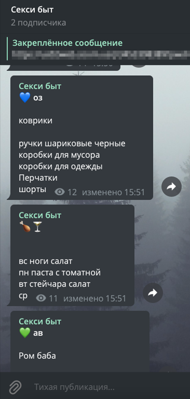 Для бытовых планов и списков у нас есть специальный канал в «Телеграме», называется «Секси быт»