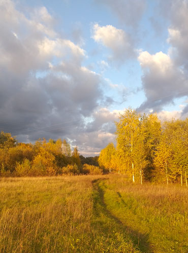 Места, где я гуляю