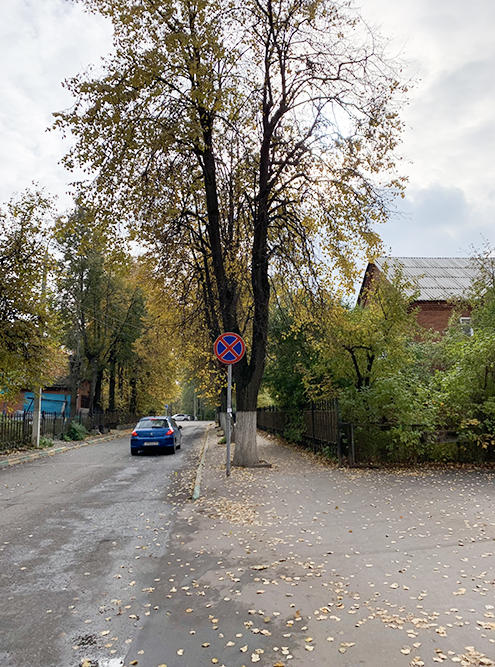 Золотая осень в Подмосковье