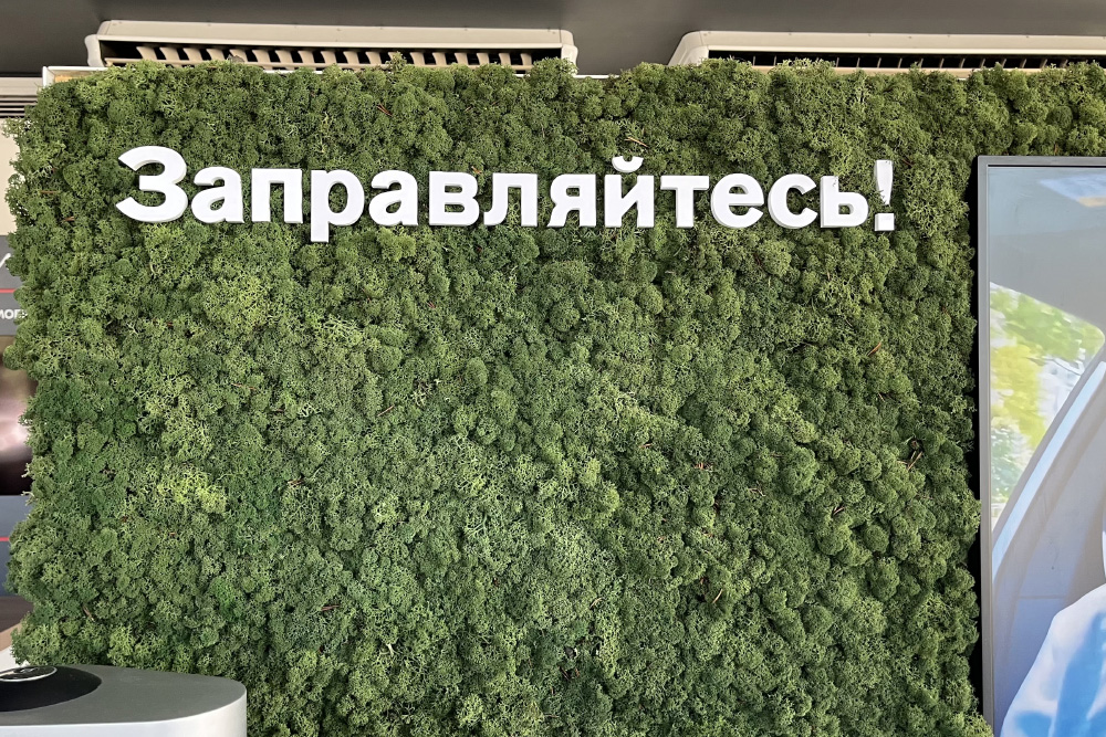 Пока гуляю, обращаю внимание, как классно теперь выглядит салон дилера «Ниссана» в новом дизайне. У них даже есть настоящий мох, влажный, очень приятный на ощупь. Почти как в лесу