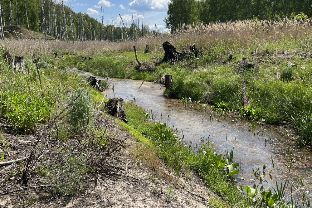 Фото, которое прислал знакомый