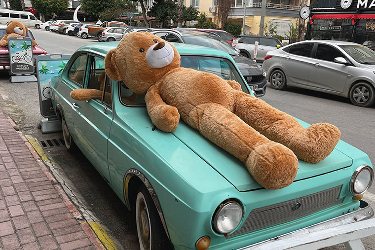 Сфотографировали забавную тусовку медведей