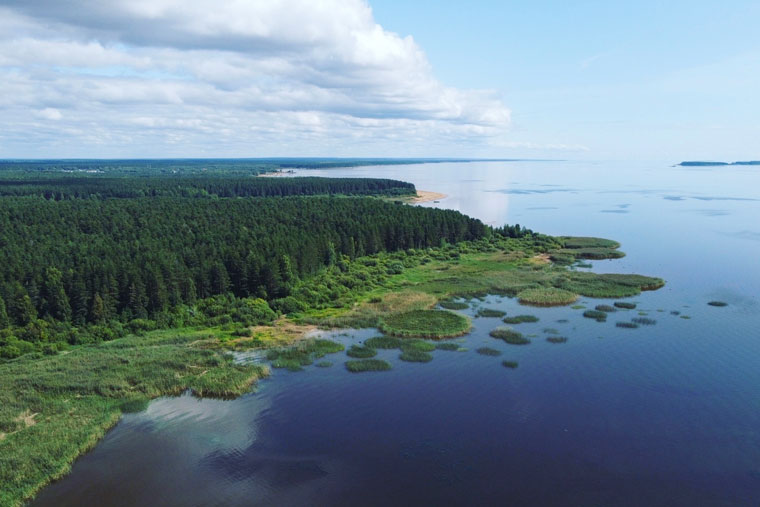 Окрестности города