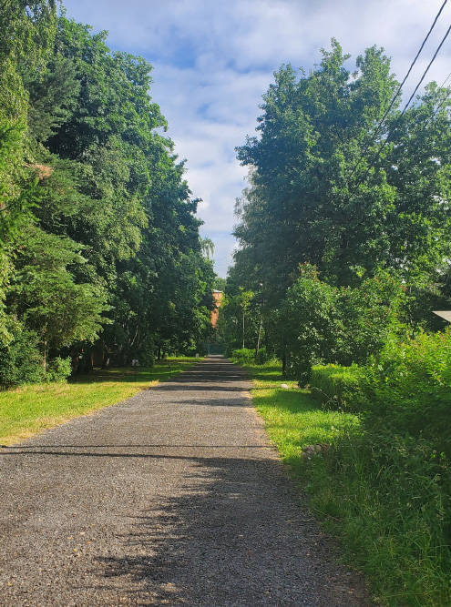 Гуляем в парке