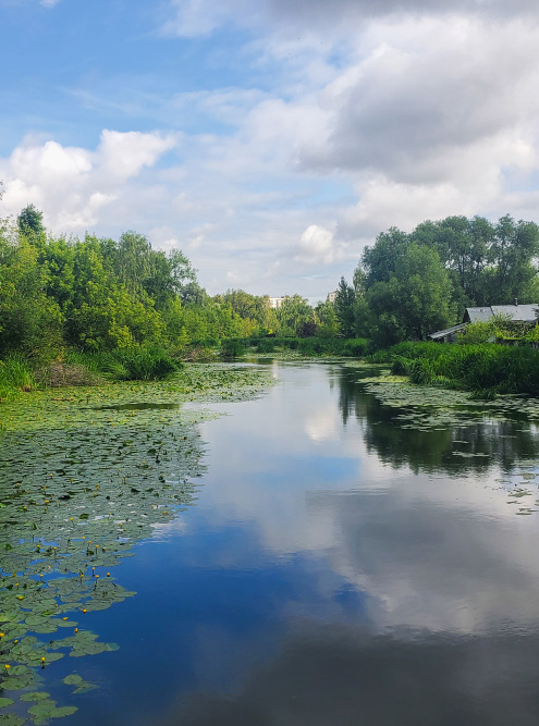 Летом в Королеве красиво