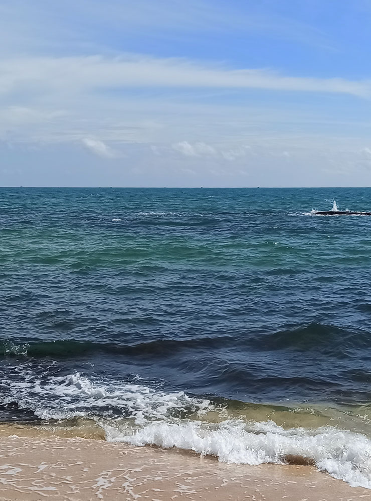 Море теплое, но не очень чистое — вынесло водорослей штормом. Зато оно красивое, глубокое и волнуется