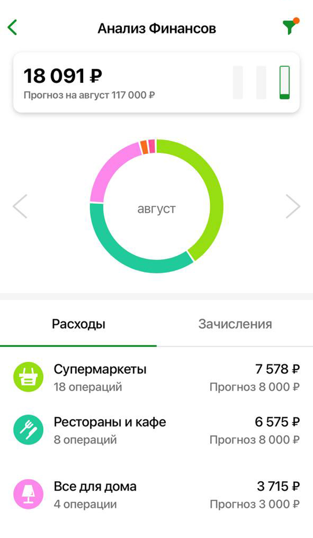 Анализ расходов я делаю в приложении банка, так как все траты идут через мою карту, наличкой мы не пользуемся