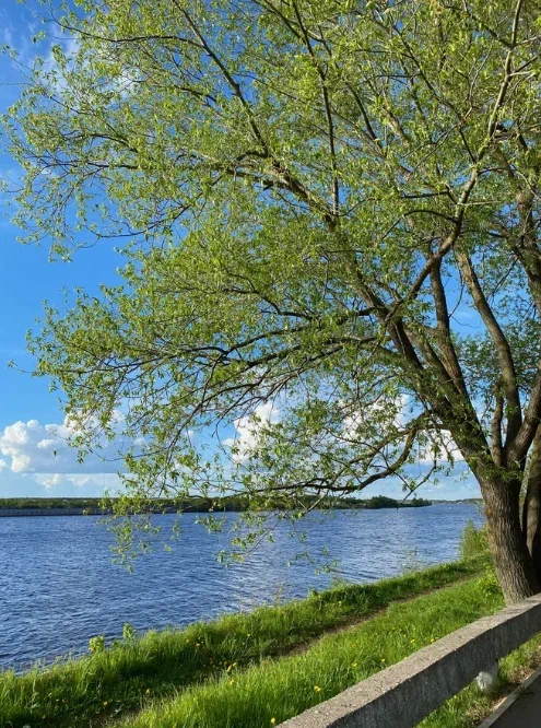 Погода сегодня нас балует