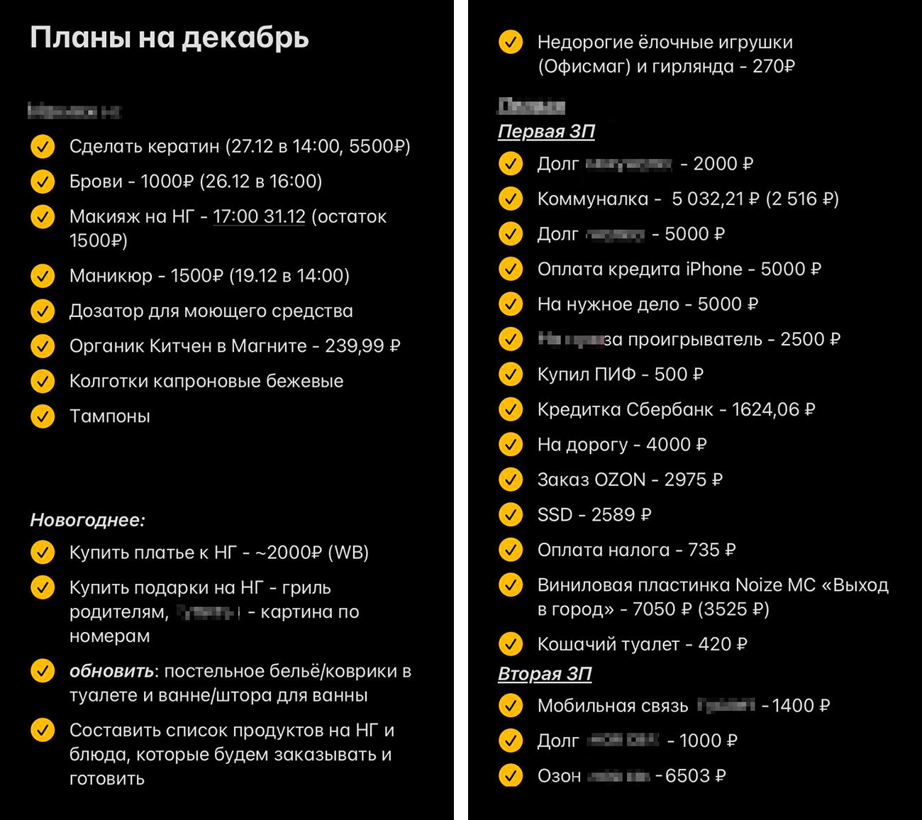 Наши планы и расходы в декабре — к обычным тратам добавились новогодние