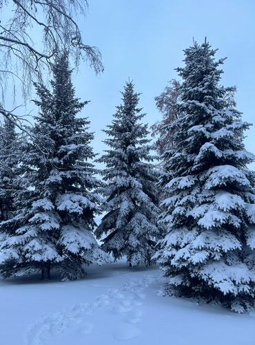 На улице, конечно, красота!