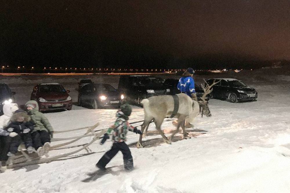 Сын смог бесплатно покататься на санях с оленями