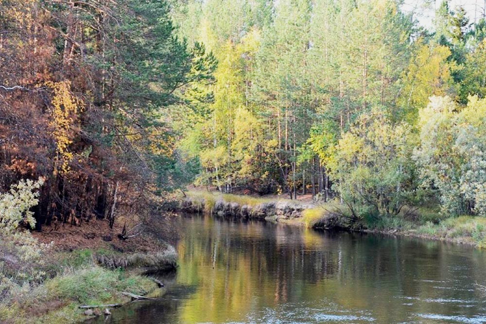 Лето у нас тоже красивое, иногда даже теплое