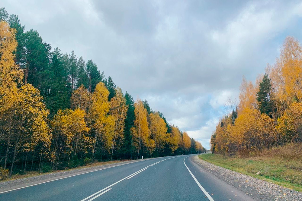 Пейзажи по дороге к бабушке