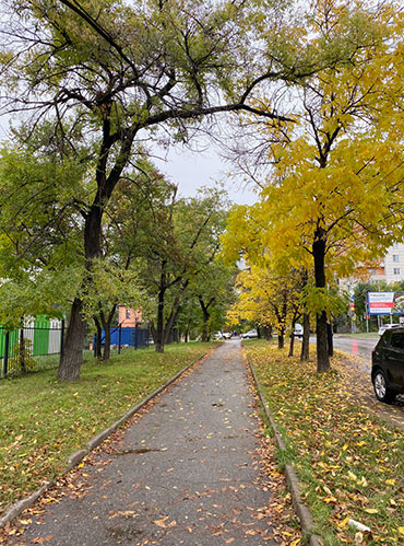 Опавших листьев на улице все больше и больше