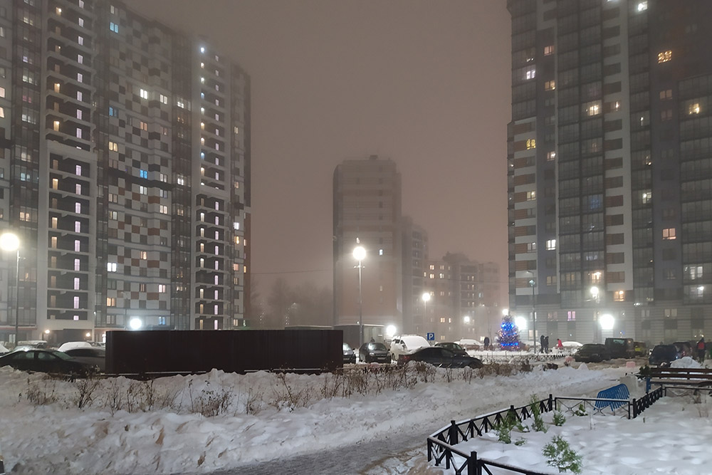 Вот фото наших человейников в тумане