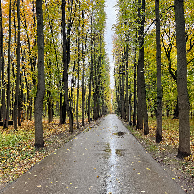 Осенний парк