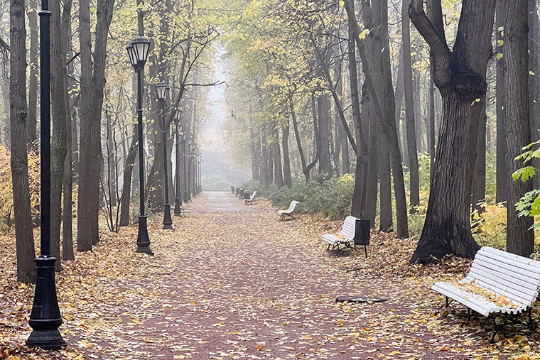 Очередной пейзаж из парка