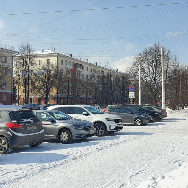 Возле клиники. Птички, свежий воздух, солнце — настроение поднимается