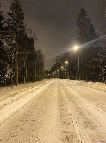 Дорогие читатели, к сожалению, в фотоотчет не вошли четверолапые булочки, которых я повстречала