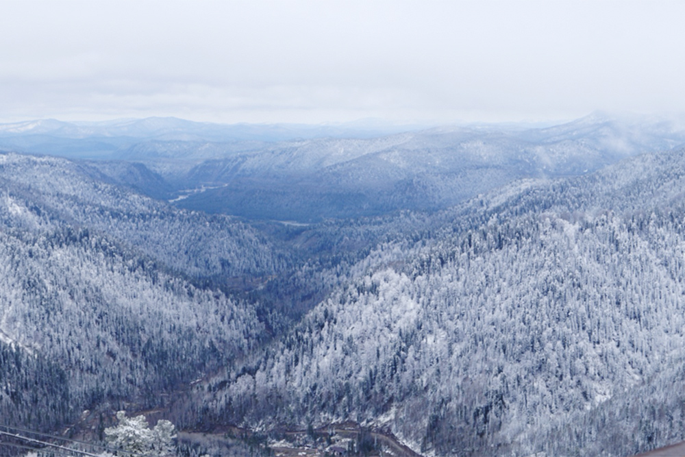 Это Алтай. Фото сделаны в один день