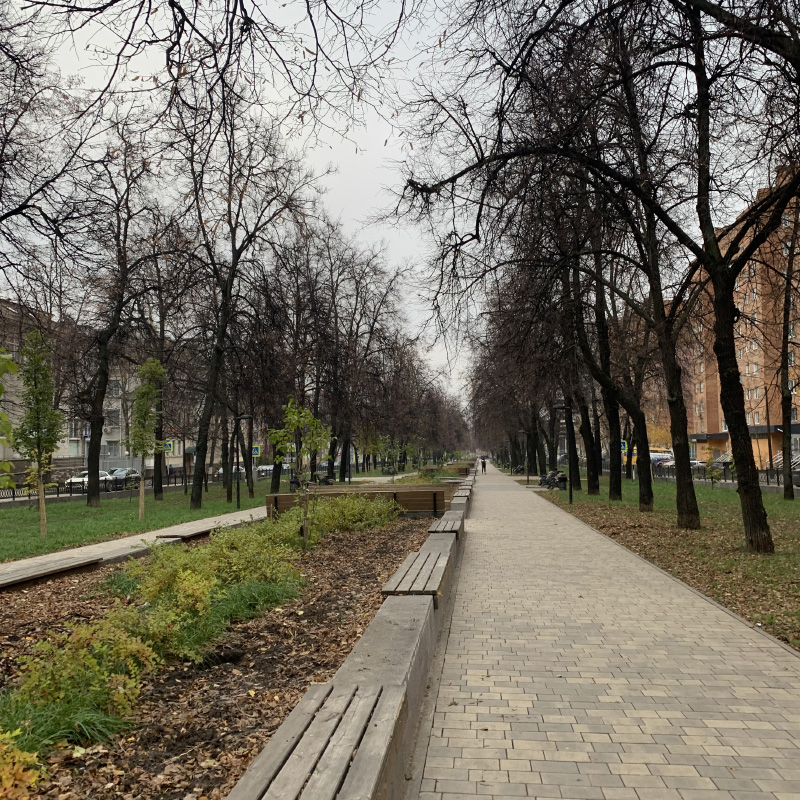 Пейзаж в центре города по дороге к офису подруги