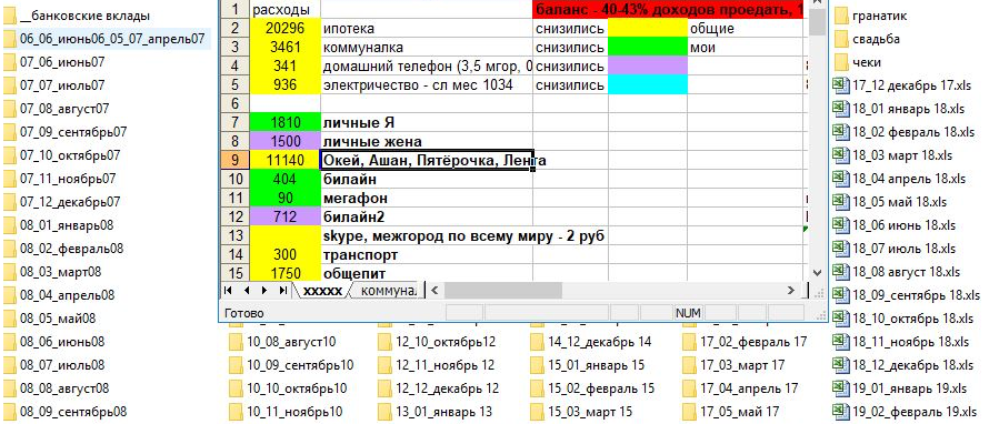 Я веду бюджет с 2007 года и записываю все до рубля