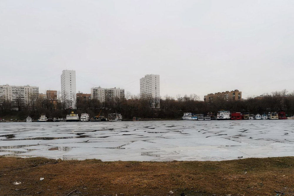 Гуляем в парке недалеко от станции «Технопарк»