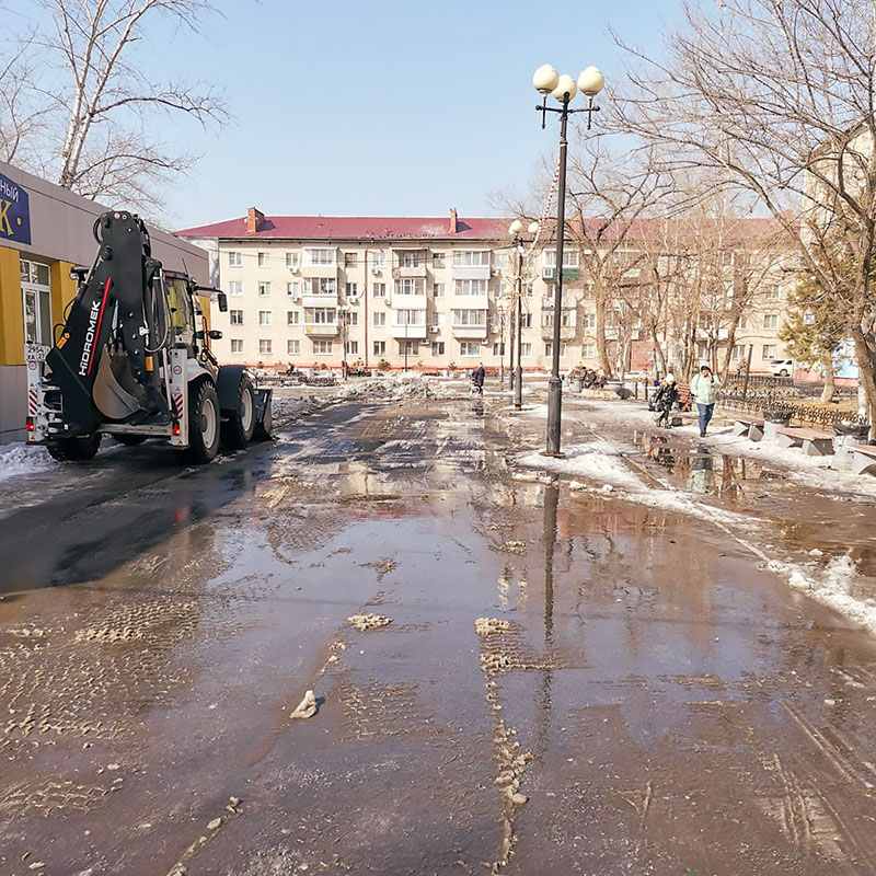 Весна в этом году ранняя