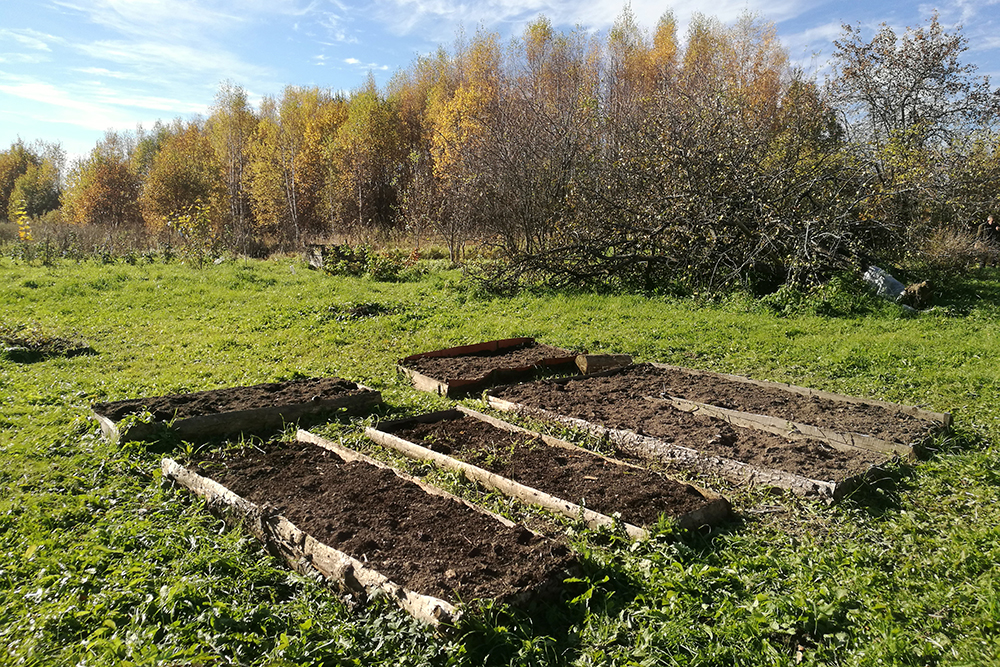 Наш огородик