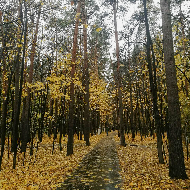 Парк в Жуковском