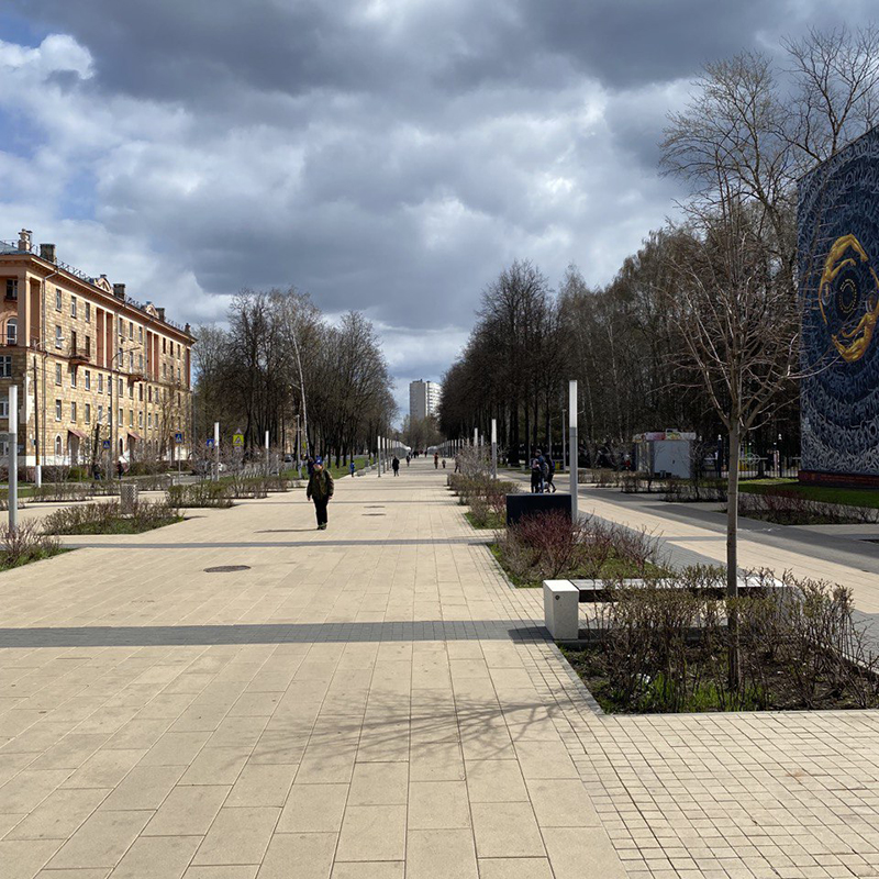 Аллея по дороге в парк. Здесь же я обычно бегаю