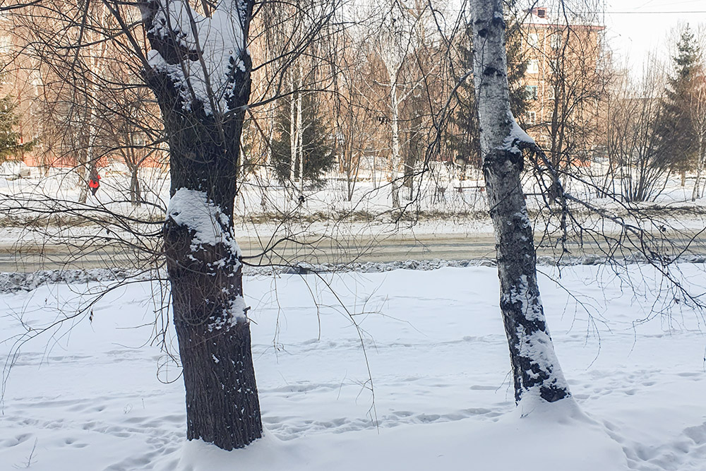 Вид из окна. Квартира, в которой мы живем, находится на первом этаже