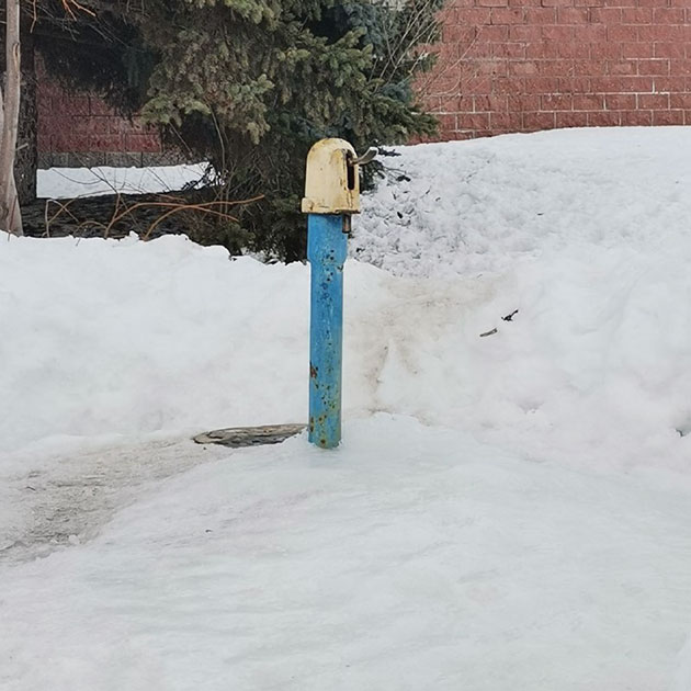 А вы давно такое видели?