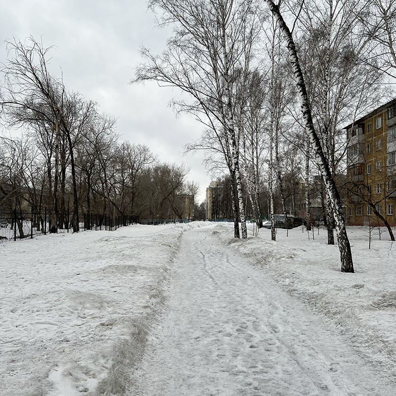 Одна из аллеек, где мы иногда бываем