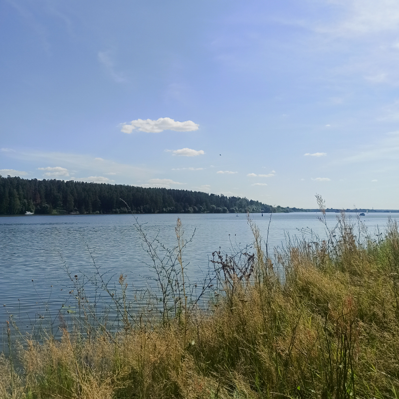 Солнце палит немилосердно, народ спасается в речке