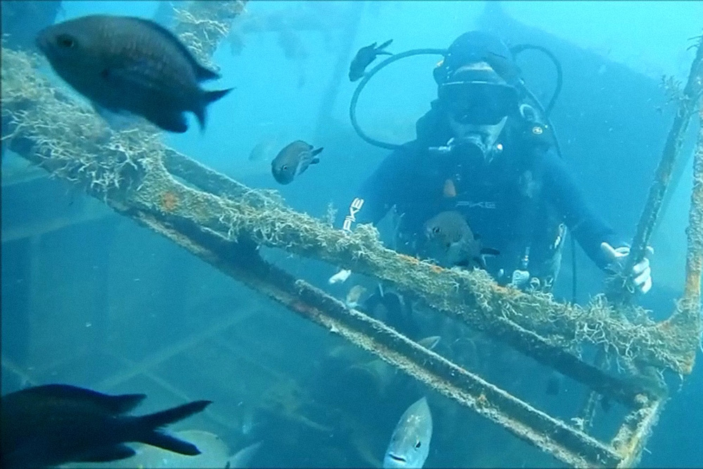 Затопленная рыбацкая шхуна обросла водорослями, теперь рядом много рыбок