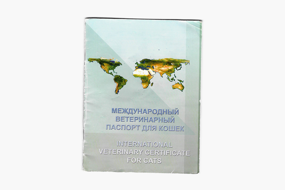 Это паспорт моей кошки. Обложка может быть любой. Главное, чтобы информация в нем дублировалась на английском языке