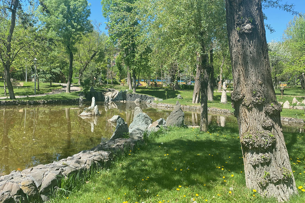 Пруд в парке искусственный, но выглядит аккуратно и красиво