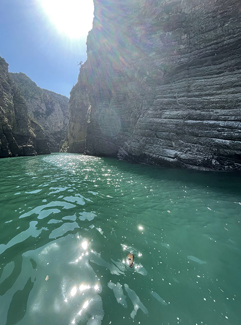 Изумрудная вода Чиркейского водохранилища