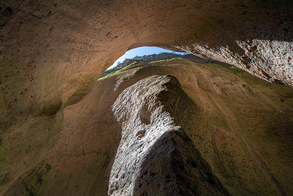 В теснину почти не попадают лучи солнца. Фото: Anna Kostenko / Shutterstock